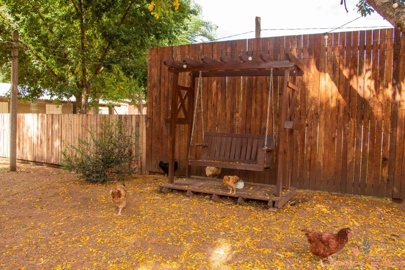 Fazenda à venda com 3 quartos, 750m² - Foto 27