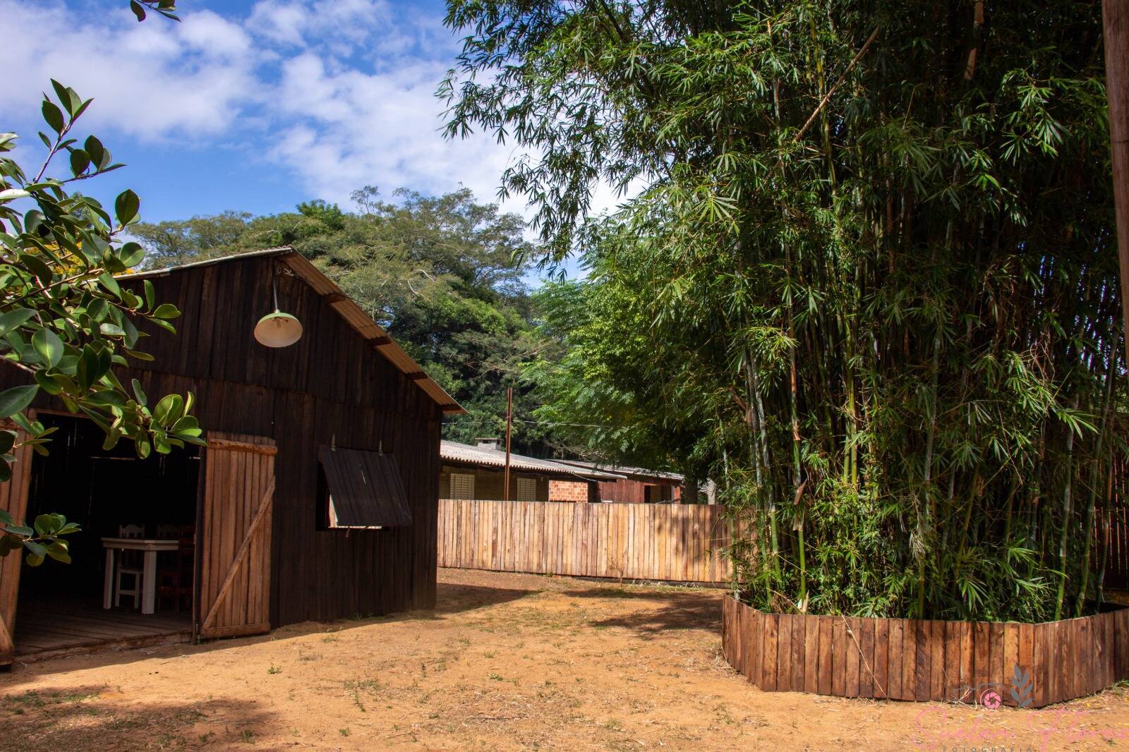 Fazenda à venda com 3 quartos, 750m² - Foto 29