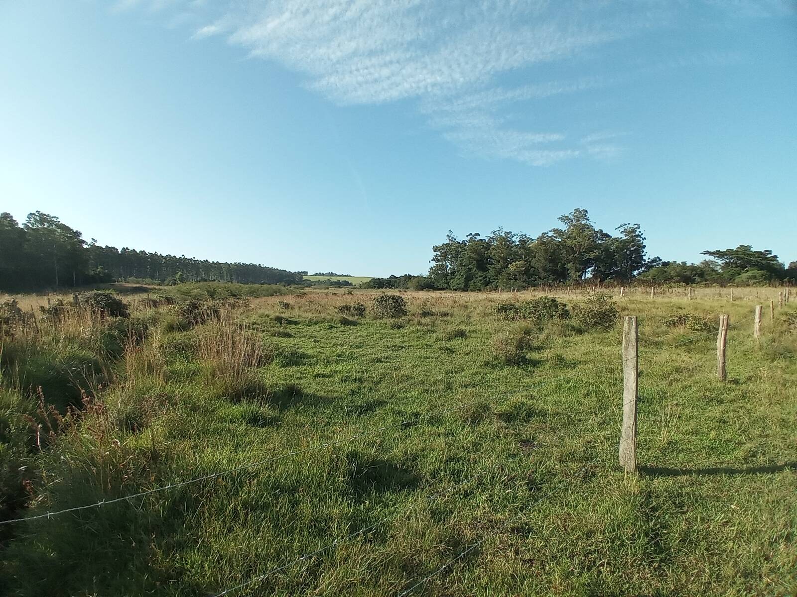 Terreno à venda, 88000m² - Foto 17