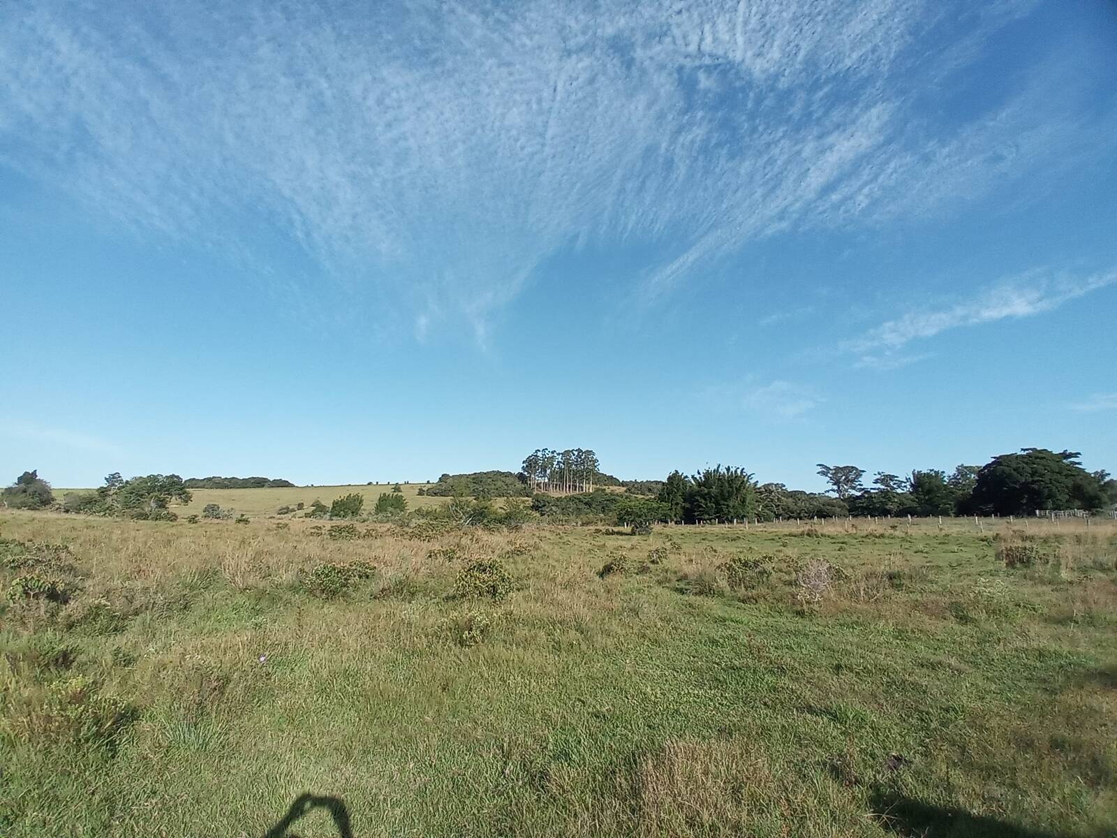 Terreno à venda, 88000m² - Foto 2