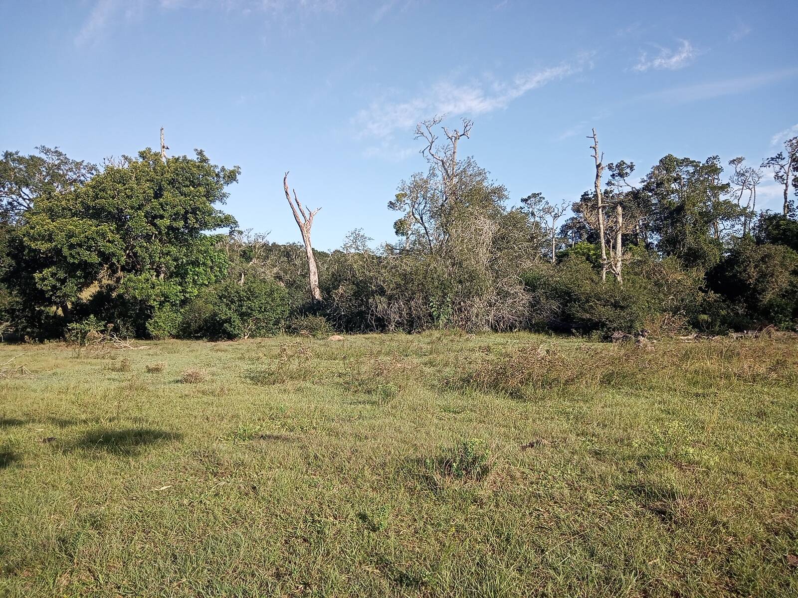 Terreno à venda, 88000m² - Foto 18