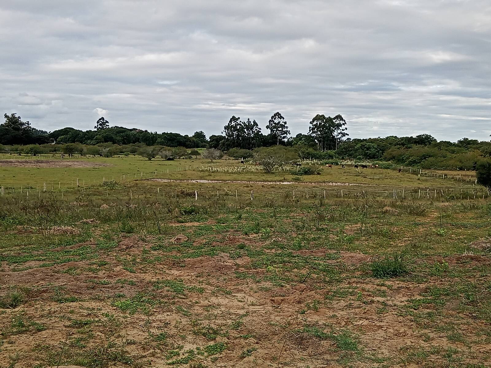 Terreno à venda, 20000m² - Foto 6