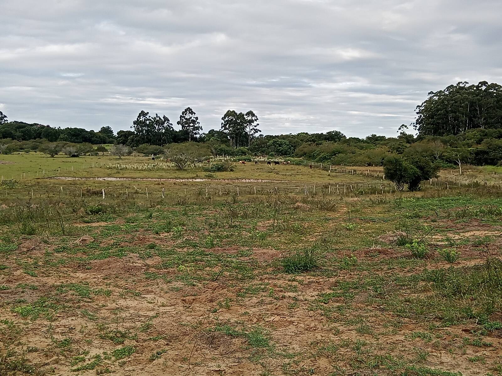 Terreno à venda, 20000m² - Foto 7