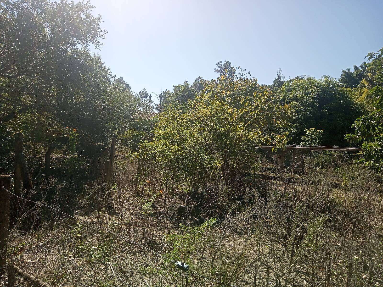 Fazenda à venda com 2 quartos, 200m² - Foto 39