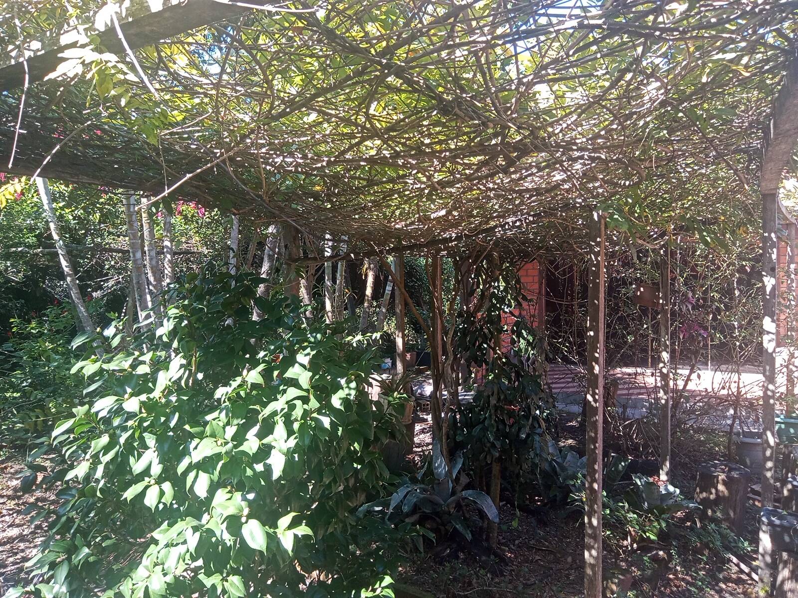 Fazenda à venda com 2 quartos, 200m² - Foto 50