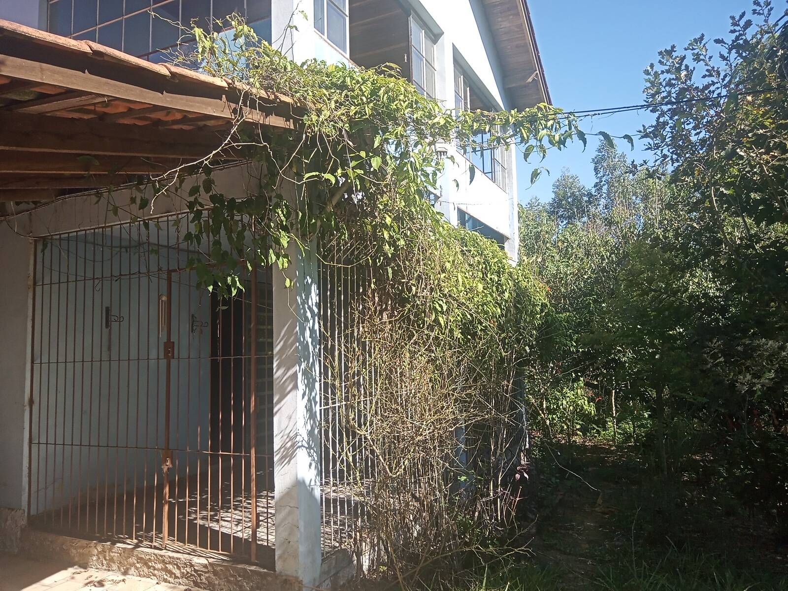 Fazenda à venda com 2 quartos, 200m² - Foto 57