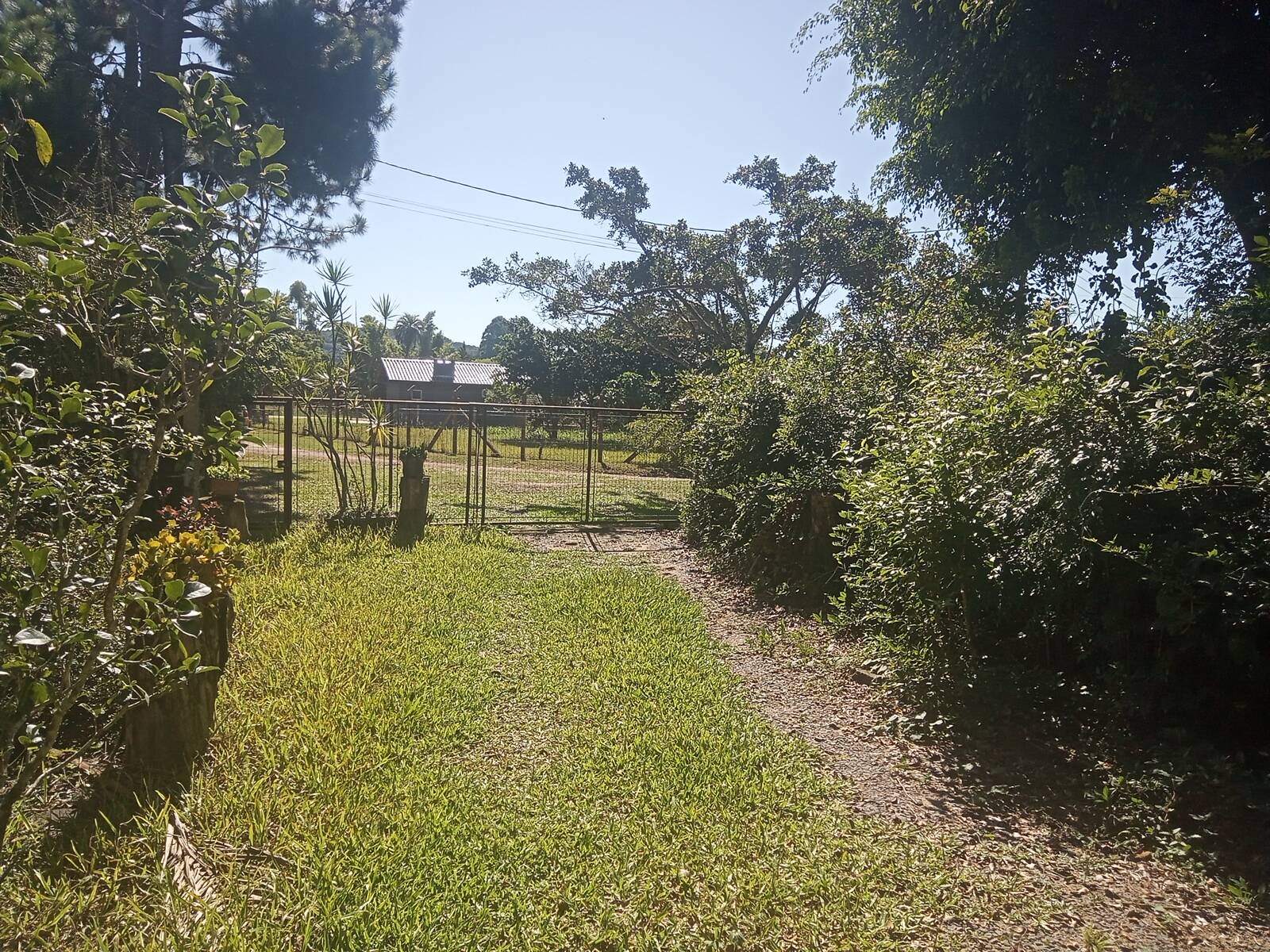 Fazenda à venda com 2 quartos, 200m² - Foto 59