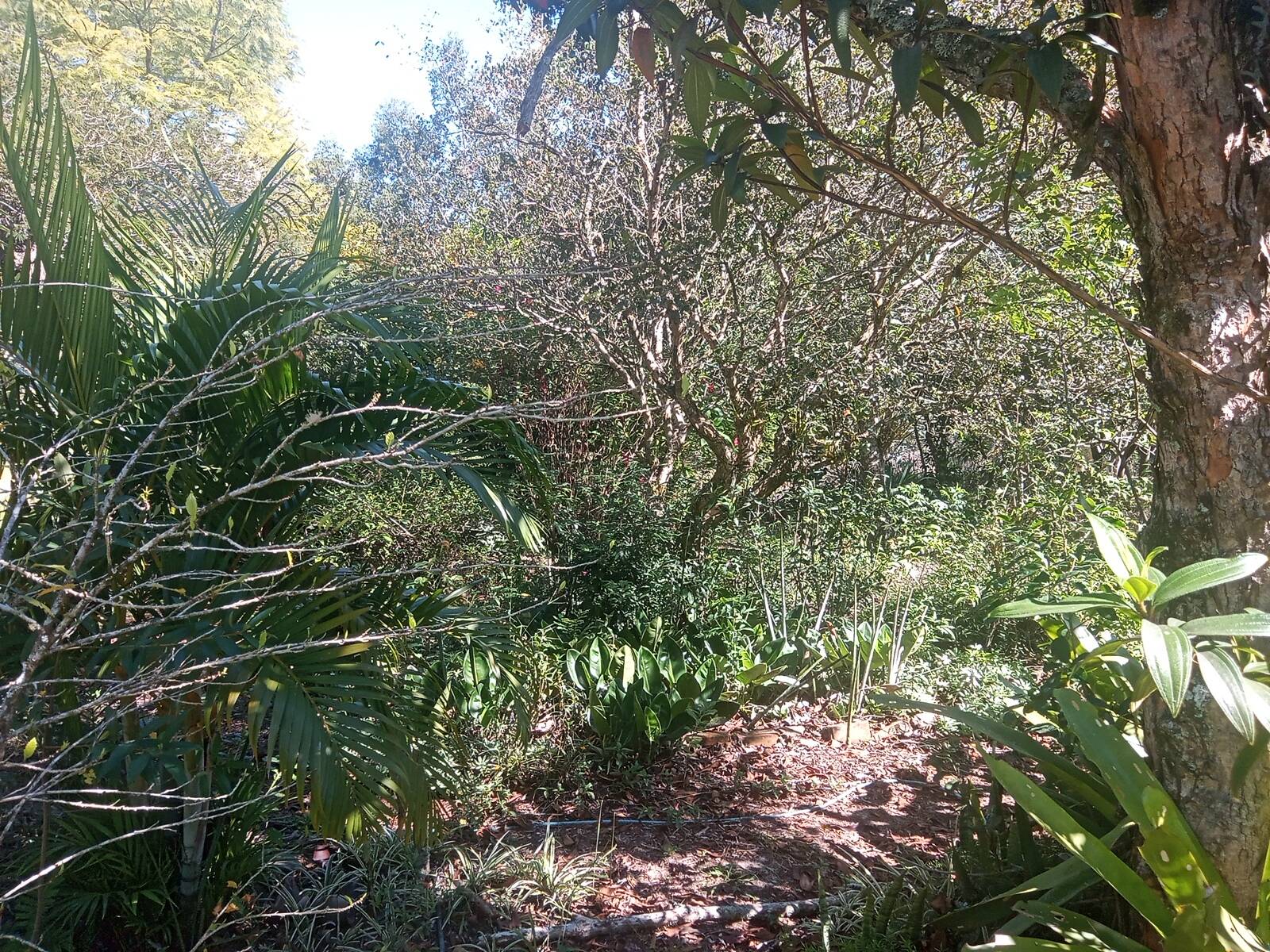 Fazenda à venda com 2 quartos, 200m² - Foto 61