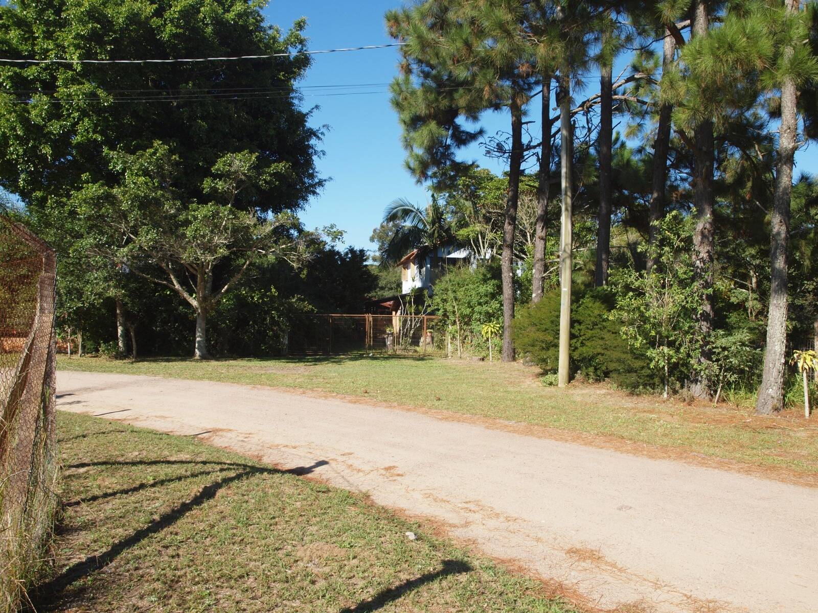 Fazenda à venda com 2 quartos, 200m² - Foto 70