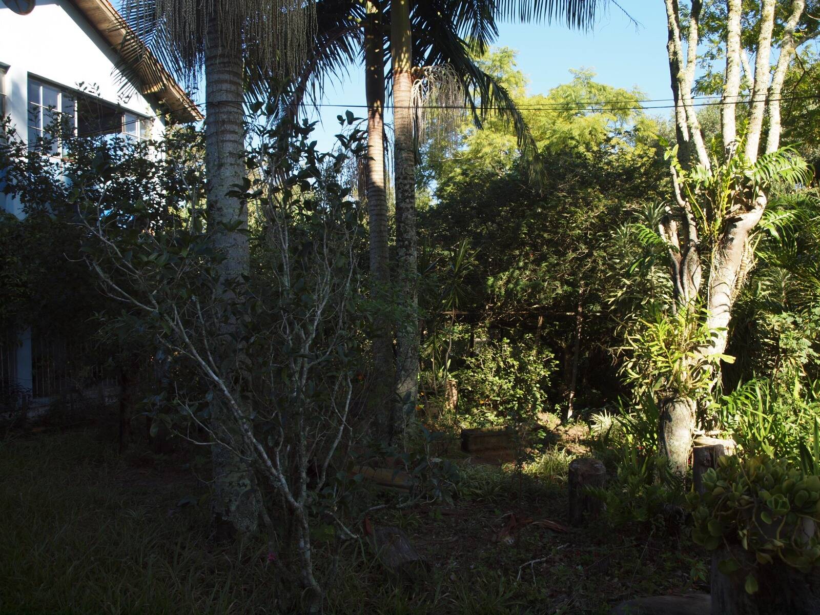 Fazenda à venda com 2 quartos, 200m² - Foto 62