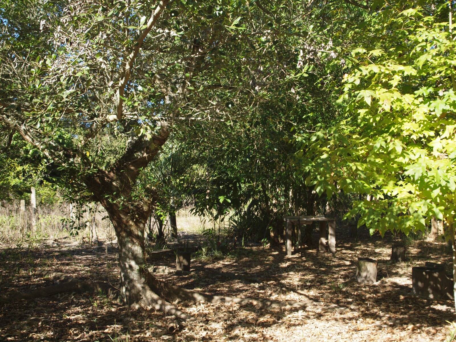 Fazenda à venda com 3 quartos, 2056m² - Foto 22