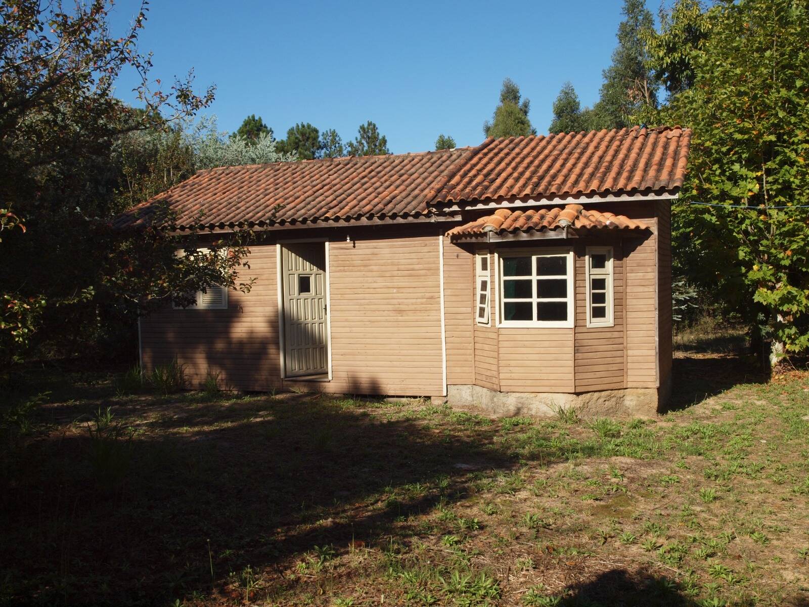 Fazenda à venda com 3 quartos, 2056m² - Foto 8