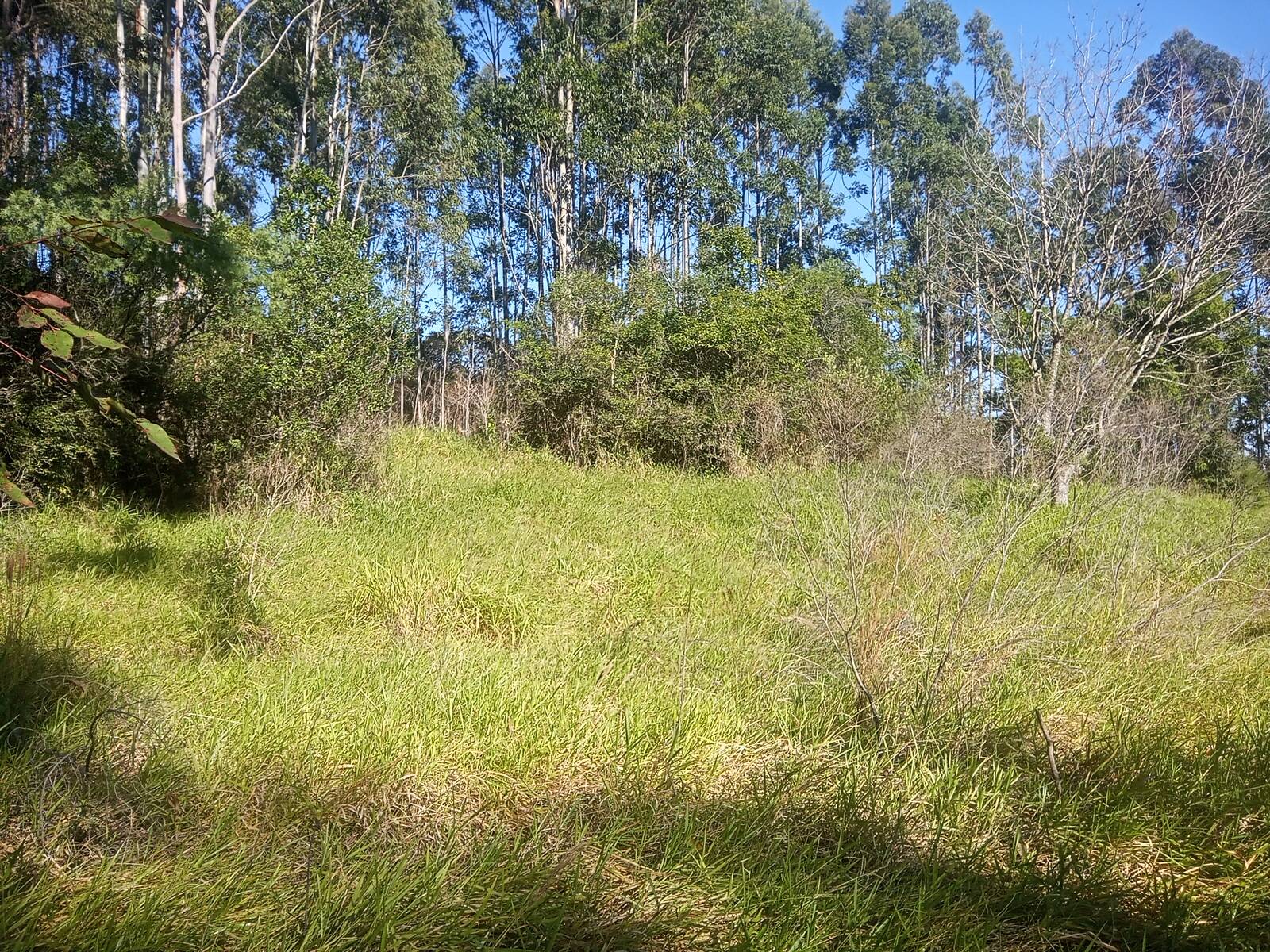 Terreno à venda, 29000m² - Foto 19