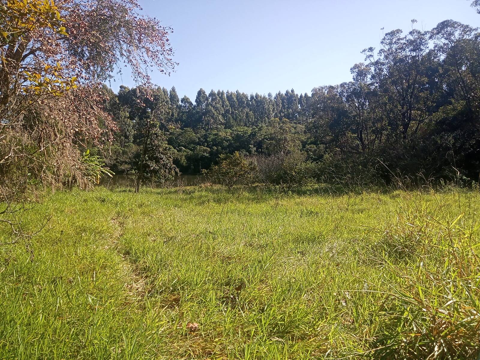 Terreno à venda, 29000m² - Foto 23