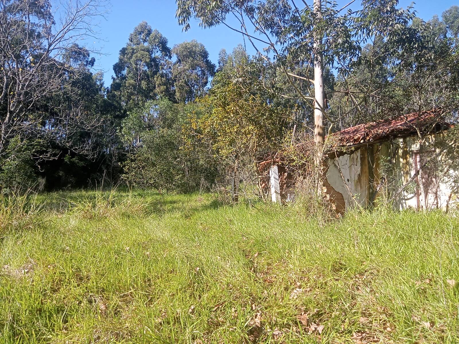 Terreno à venda, 29000m² - Foto 24