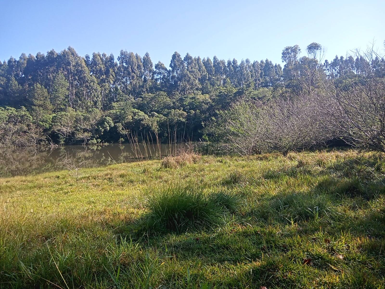 Terreno à venda, 29000m² - Foto 27