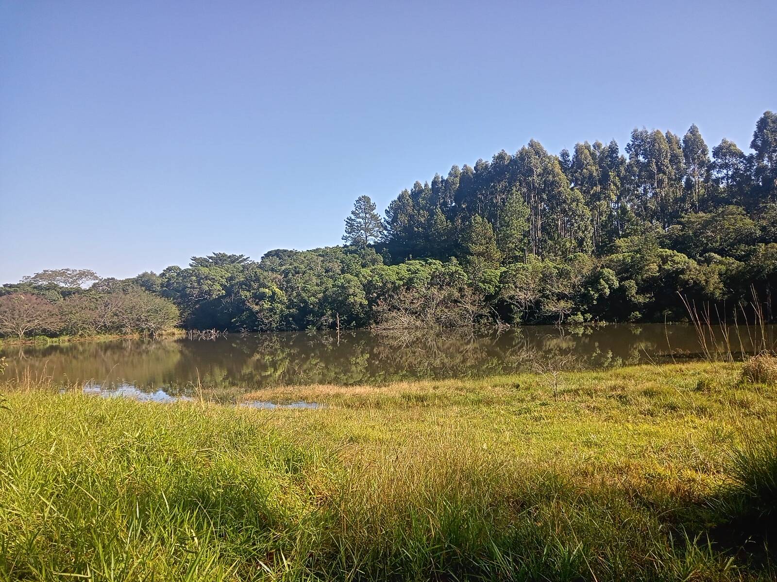 Terreno à venda, 29000m² - Foto 28