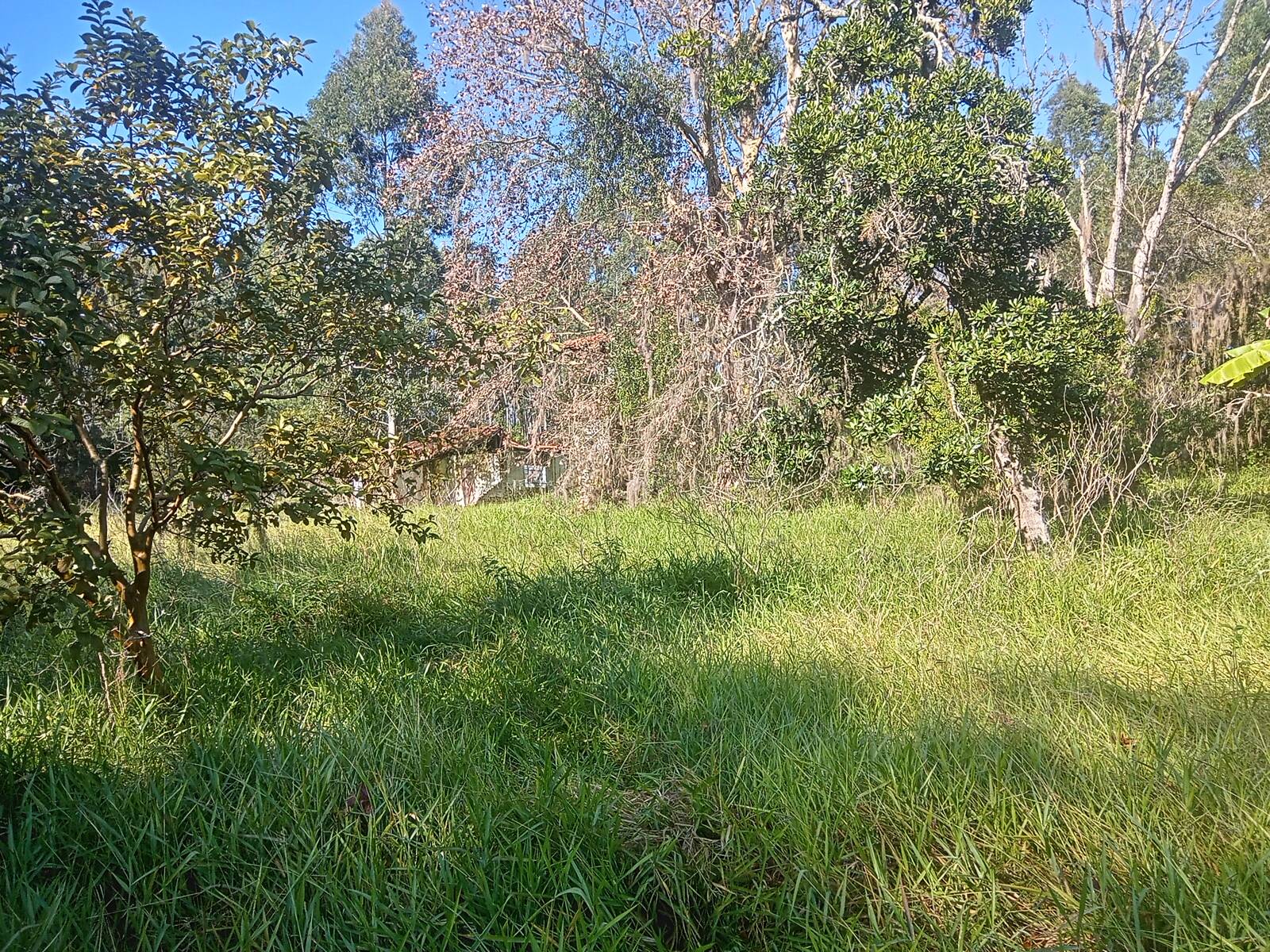 Terreno à venda, 29000m² - Foto 30