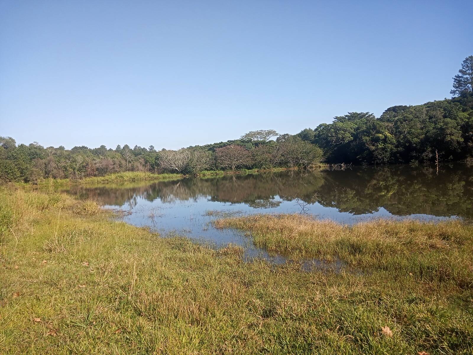 Terreno à venda, 29000m² - Foto 31