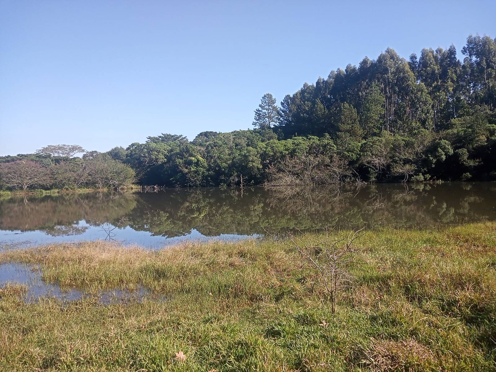 Terreno à venda, 29000m² - Foto 32