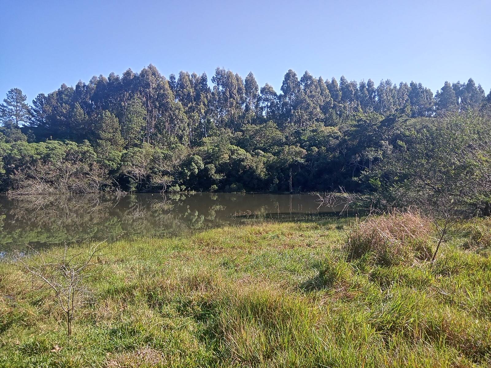 Terreno à venda, 29000m² - Foto 33