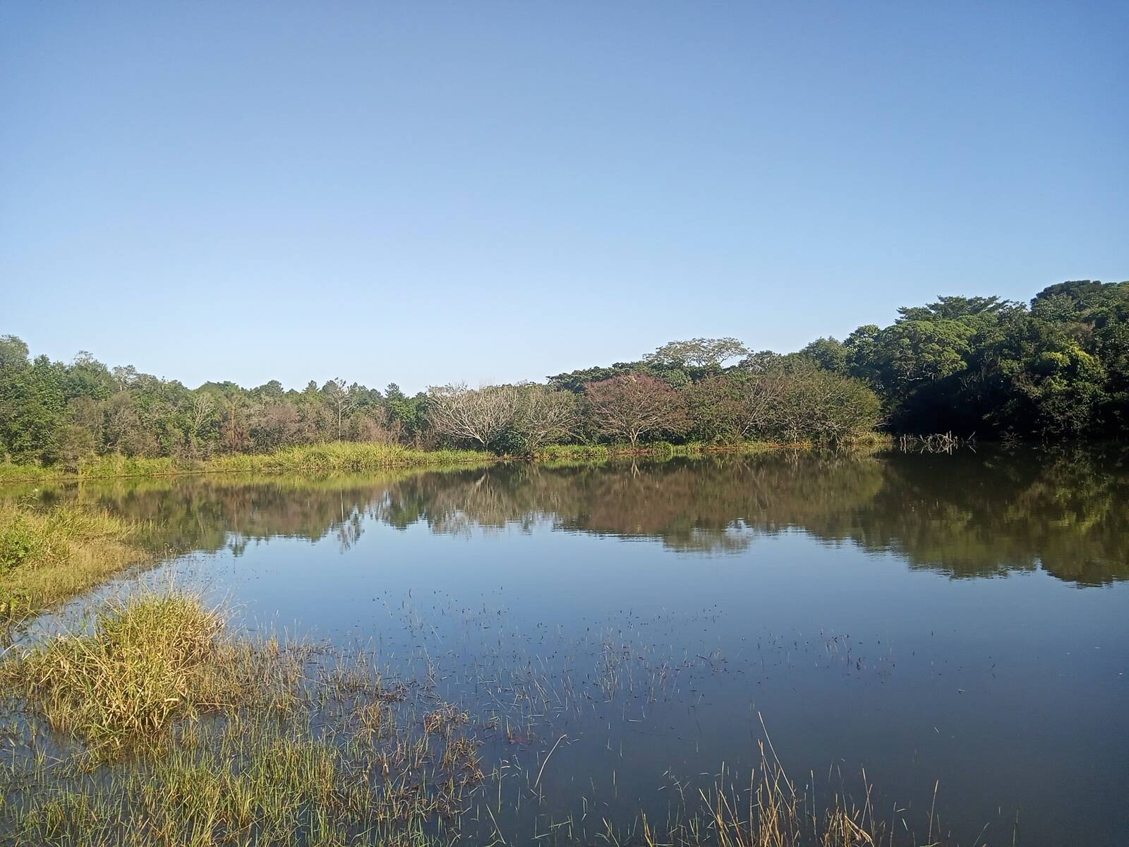 Terreno à venda, 29000m² - Foto 3