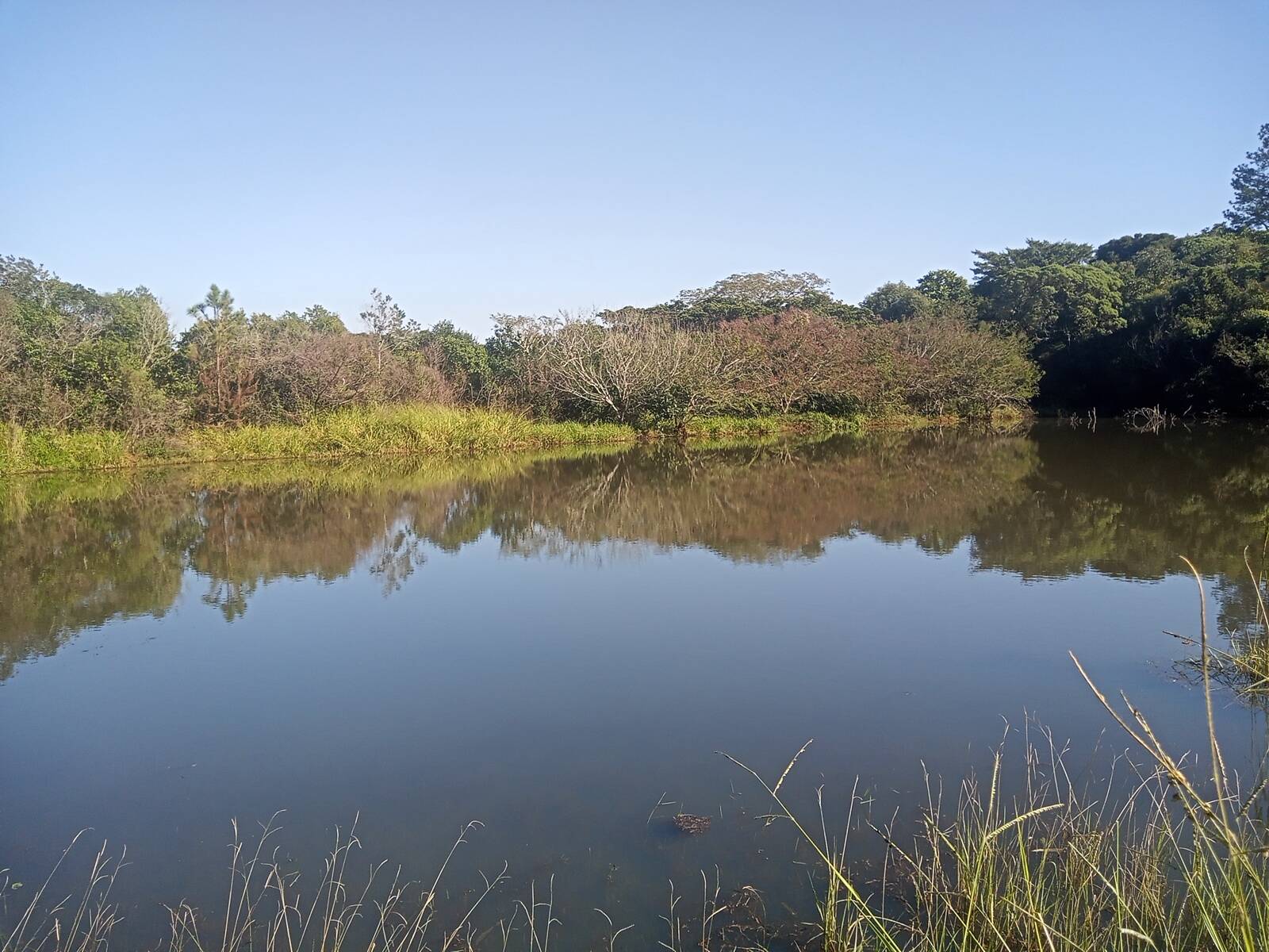 Terreno à venda, 29000m² - Foto 36