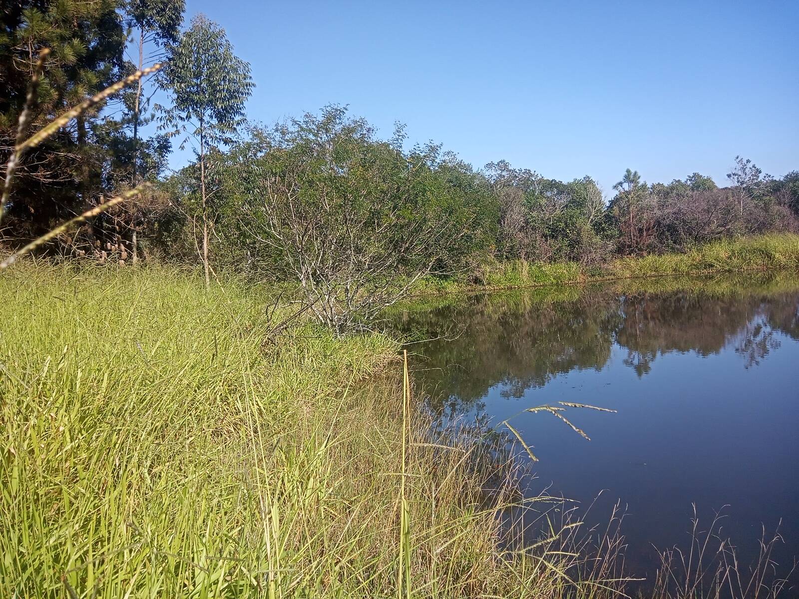 Terreno à venda, 29000m² - Foto 37