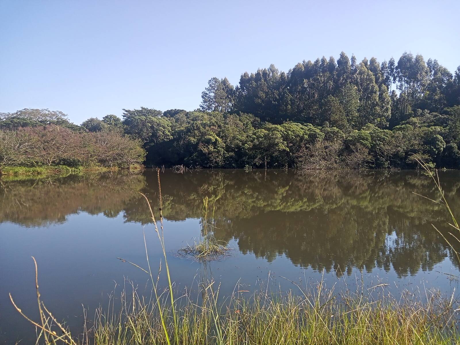 Terreno à venda, 29000m² - Foto 38