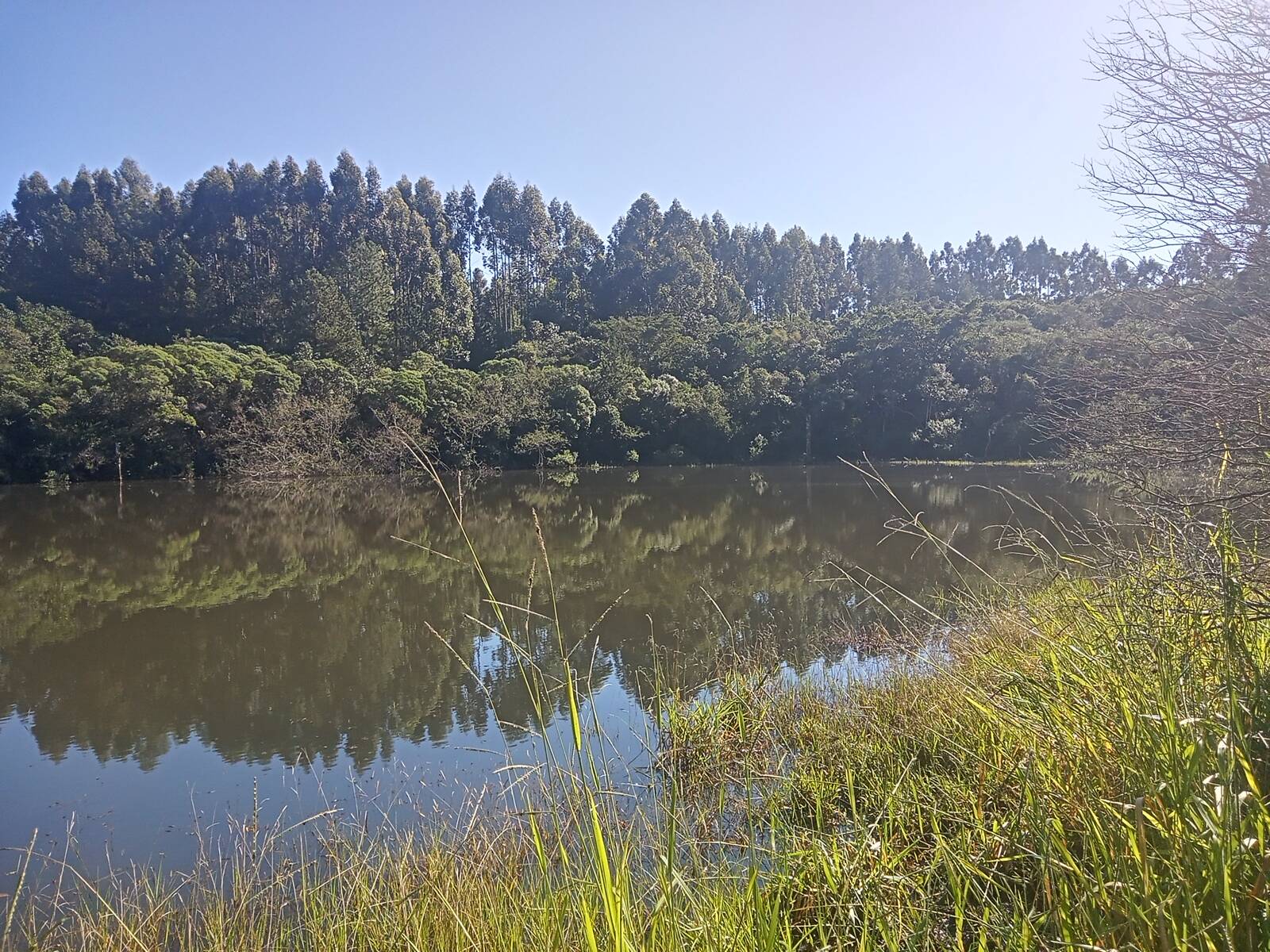 Terreno à venda, 29000m² - Foto 39