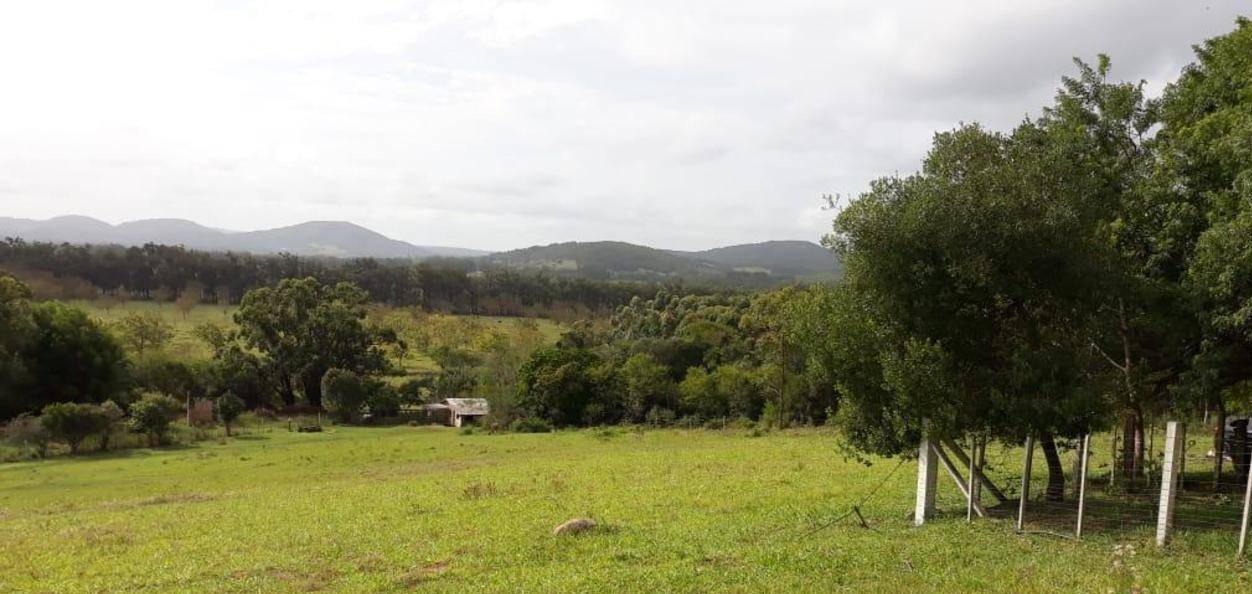 Fazenda à venda com 4 quartos, 270m² - Foto 18