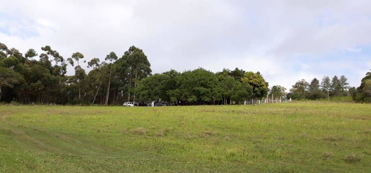 Fazenda à venda com 4 quartos, 270m² - Foto 21