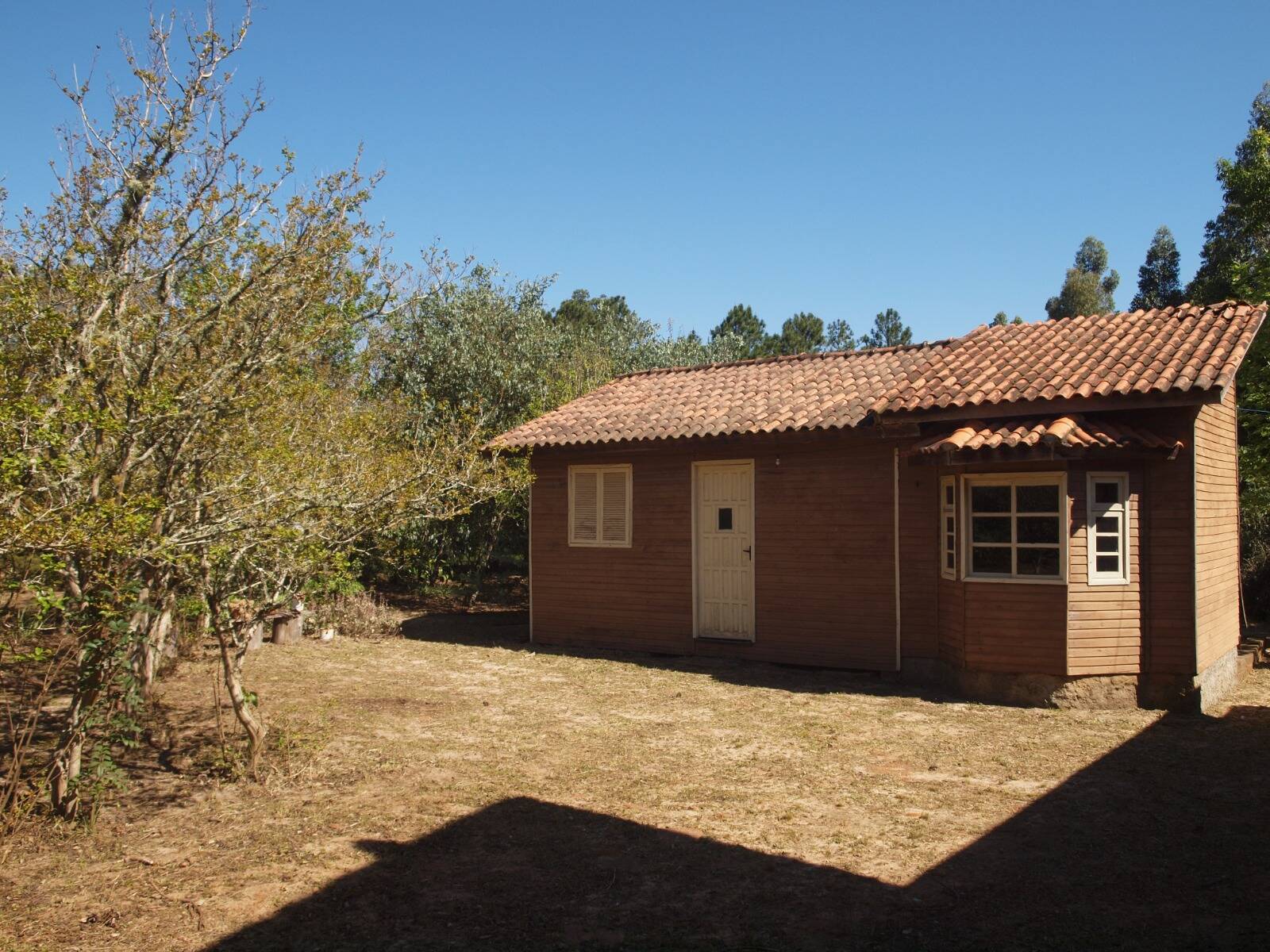 Fazenda à venda com 3 quartos, 2056m² - Foto 7