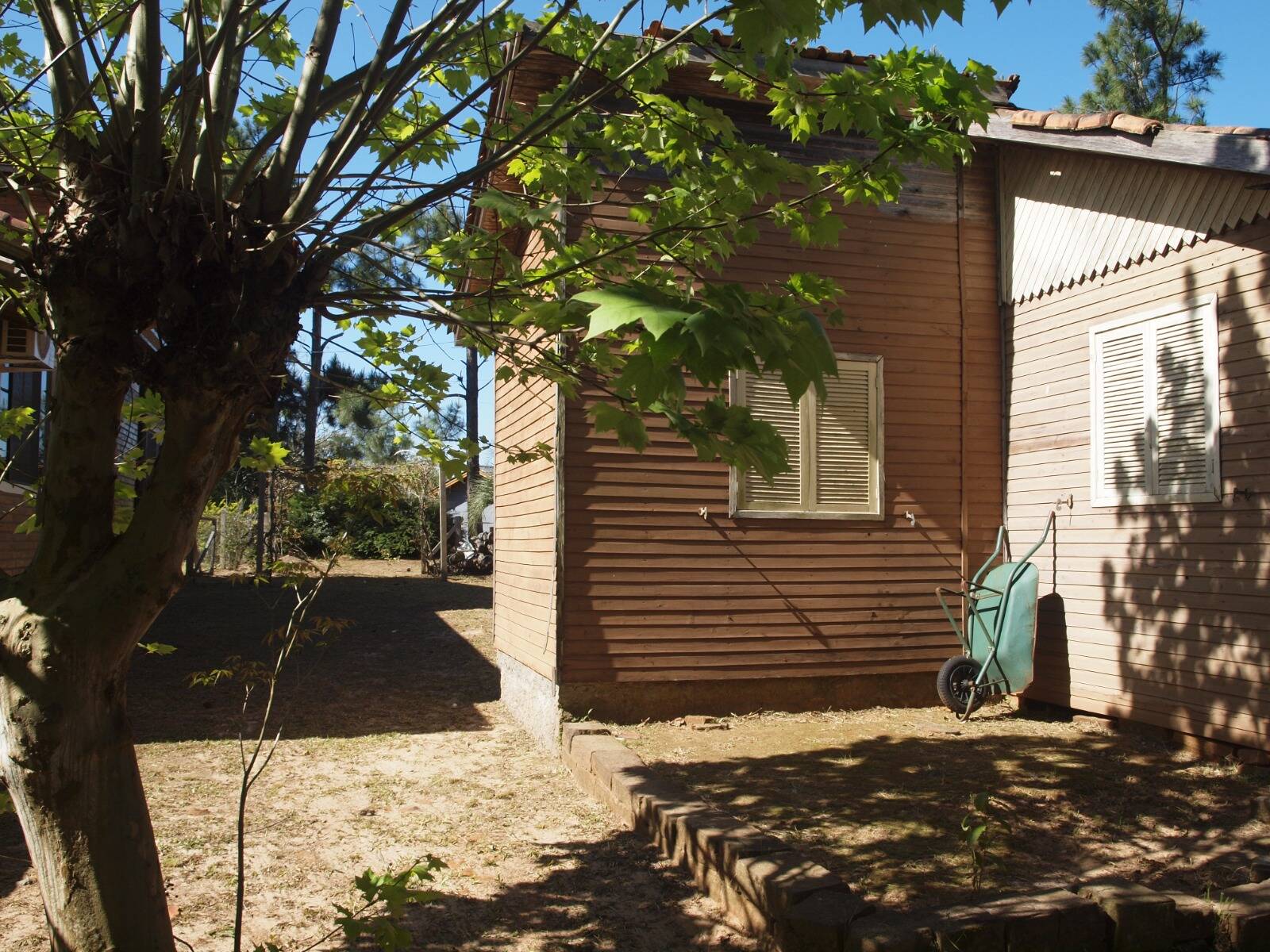 Fazenda à venda com 3 quartos, 2056m² - Foto 6