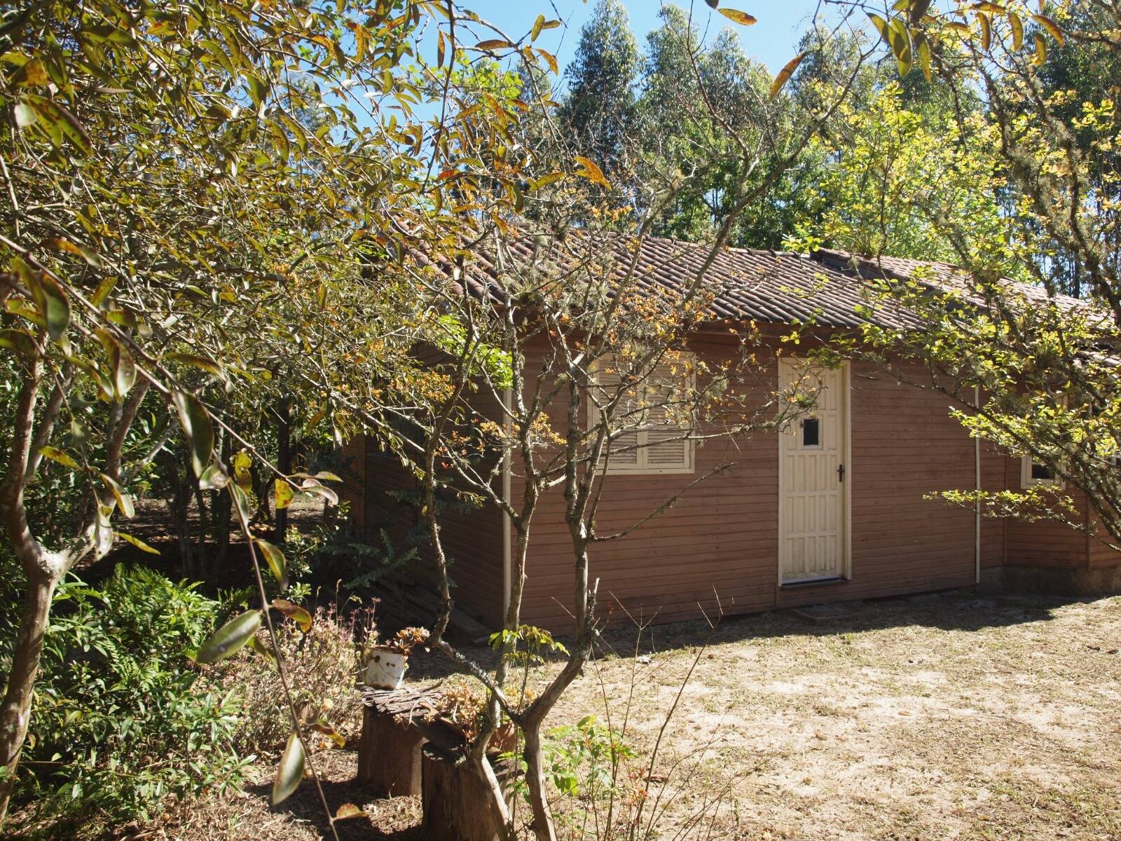 Fazenda à venda com 3 quartos, 2056m² - Foto 2