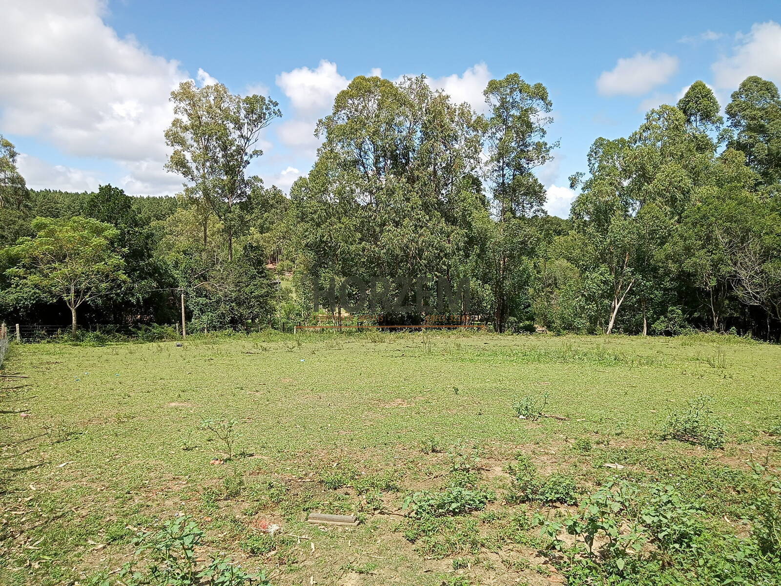 Fazenda à venda com 2 quartos, 250m² - Foto 12