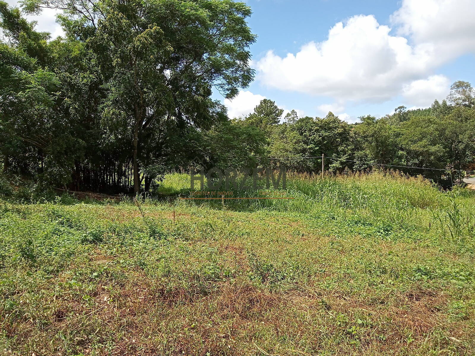 Fazenda à venda com 2 quartos, 250m² - Foto 13