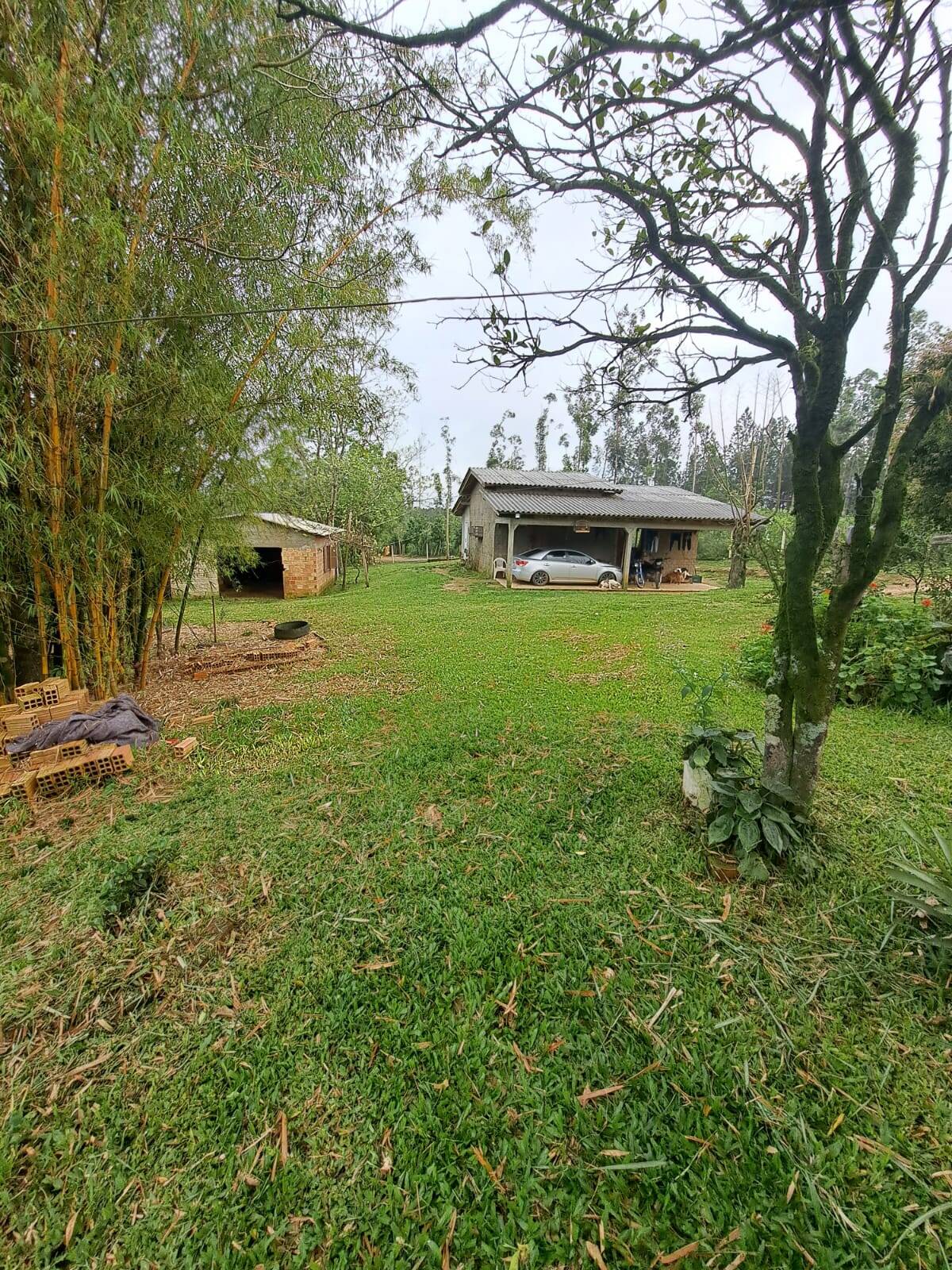 Fazenda à venda com 2 quartos, 250m² - Foto 1