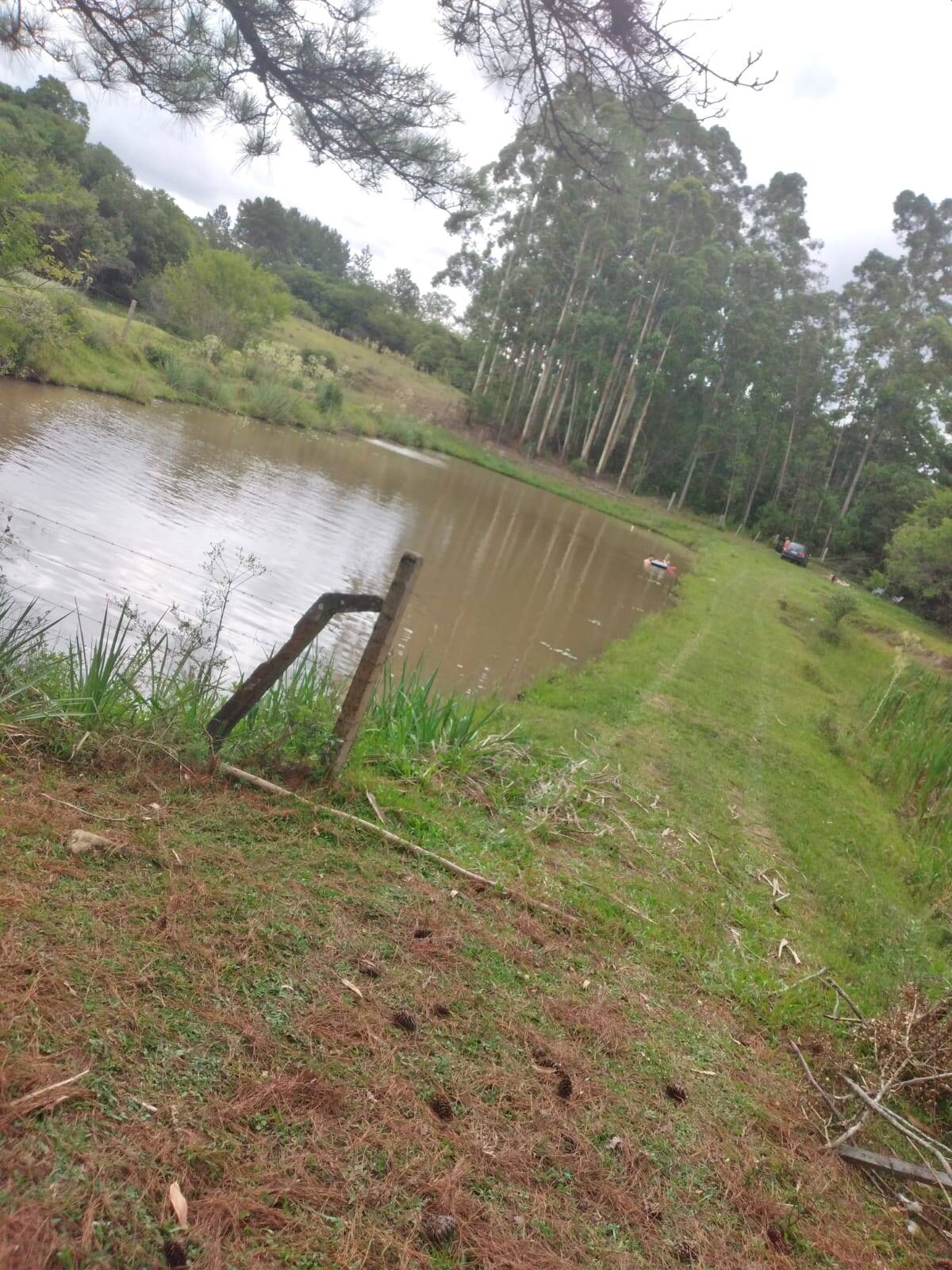 Fazenda à venda com 2 quartos, 250m² - Foto 29