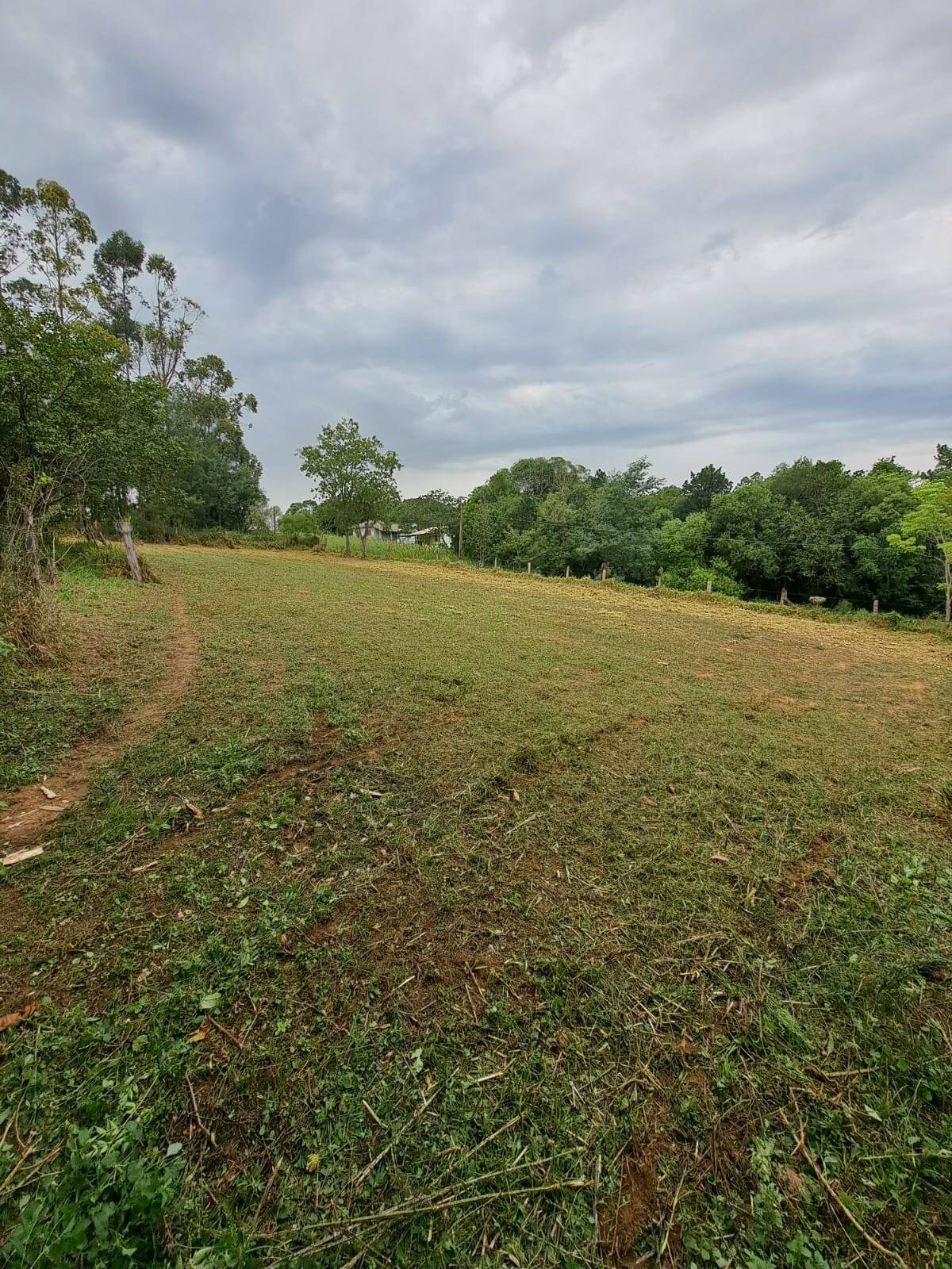 Fazenda à venda com 2 quartos, 250m² - Foto 33