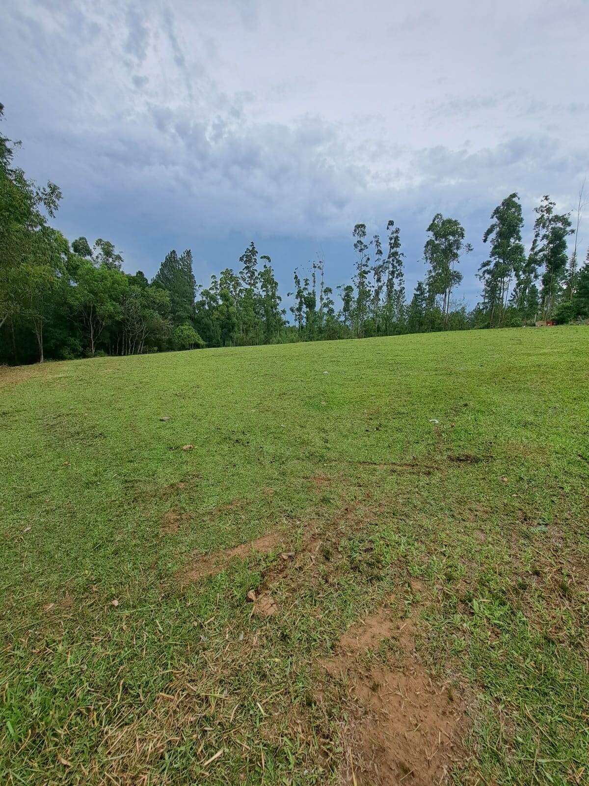 Fazenda à venda com 2 quartos, 250m² - Foto 32