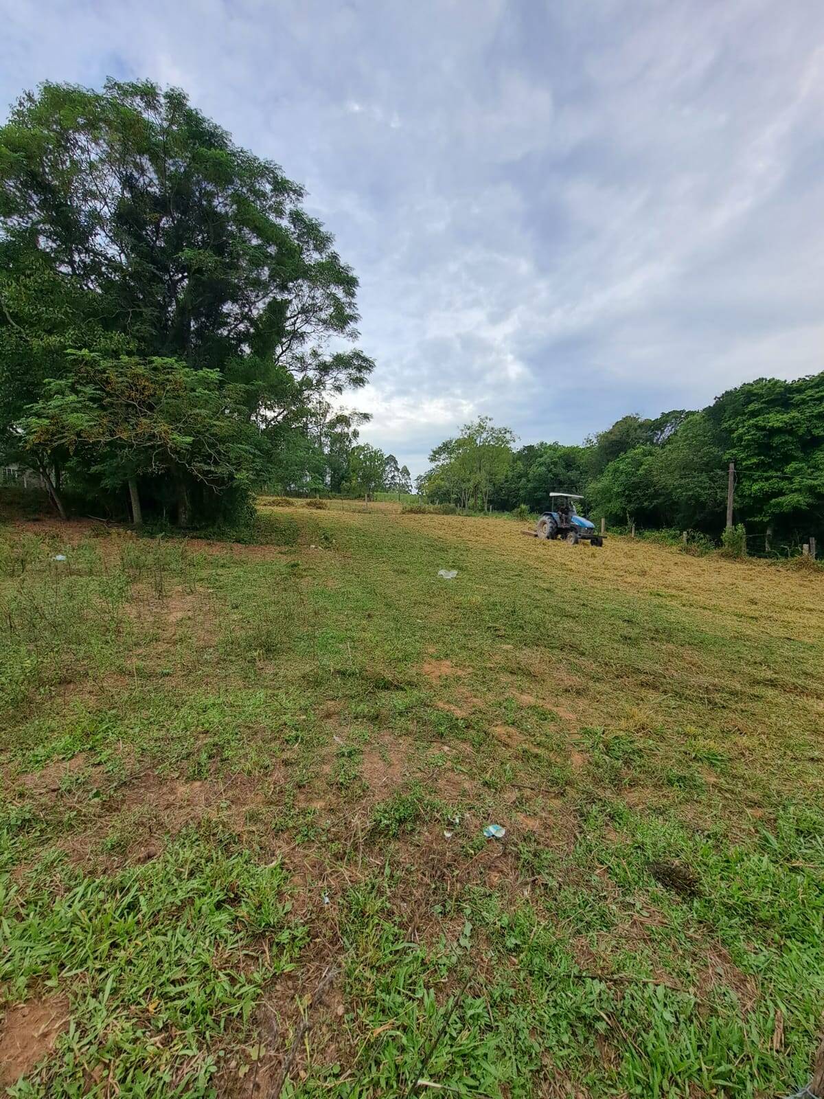 Fazenda à venda com 2 quartos, 250m² - Foto 36