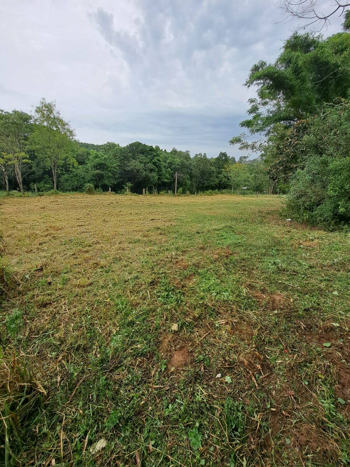 Fazenda à venda com 2 quartos, 250m² - Foto 38