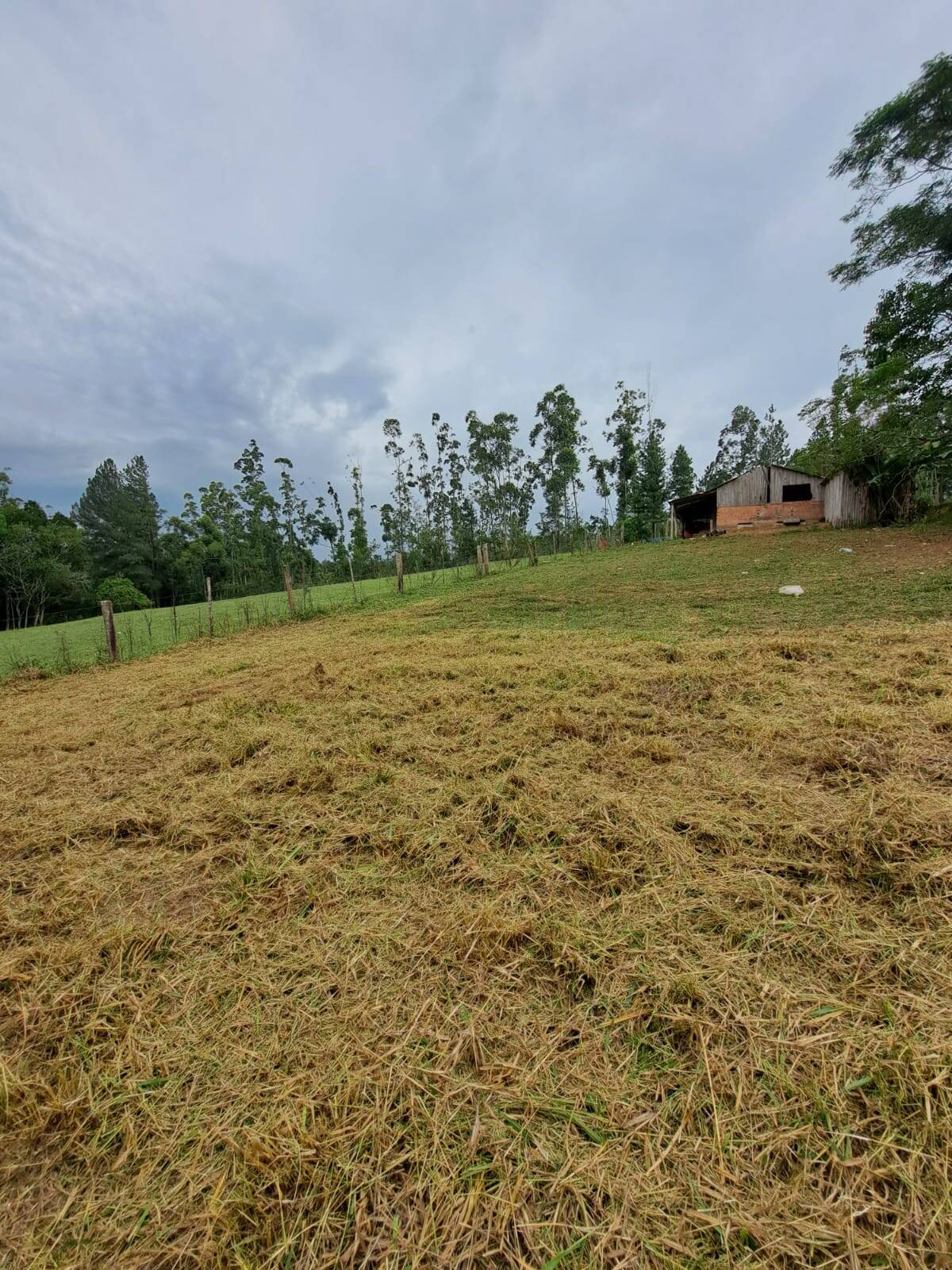 Fazenda à venda com 2 quartos, 250m² - Foto 39