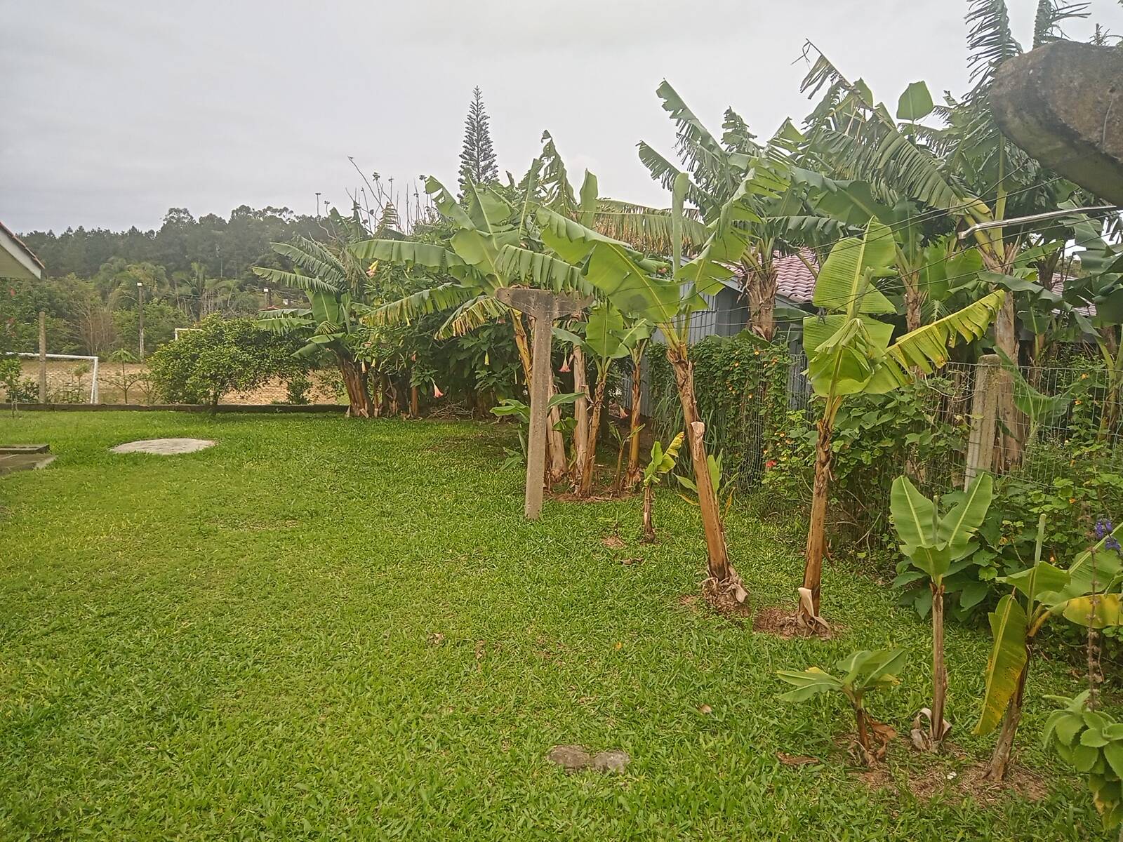 Casa à venda com 2 quartos, 80m² - Foto 5