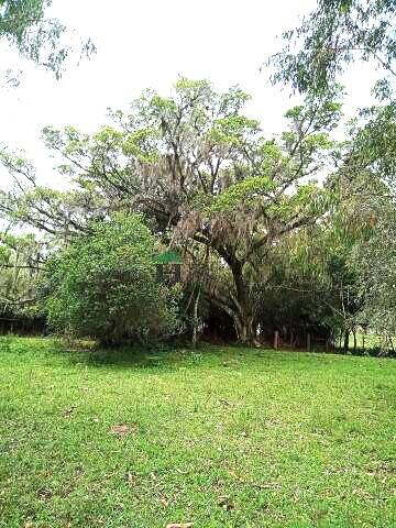 Fazenda à venda com 3 quartos, 180m² - Foto 34