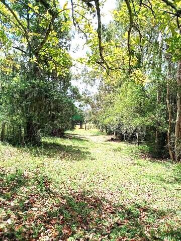 Fazenda à venda com 3 quartos, 180m² - Foto 35