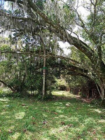 Fazenda à venda com 3 quartos, 180m² - Foto 38