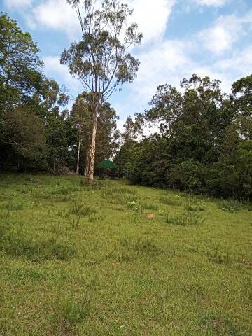 Fazenda à venda com 3 quartos, 180m² - Foto 41