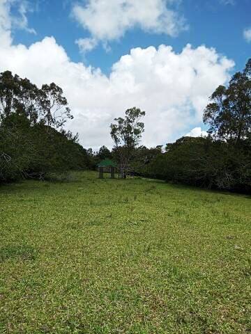 Fazenda à venda com 3 quartos, 180m² - Foto 44